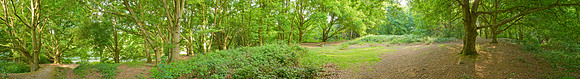 P2F35  Smockmill Common, Norfolk, UK