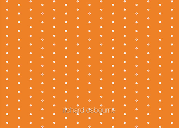 G276 Orange Peel Daisies