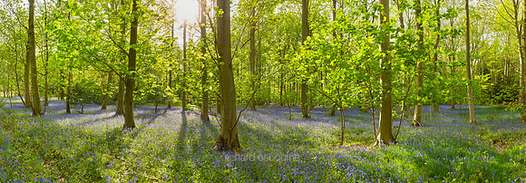 P4F7  Blickling, Norfolk, UK