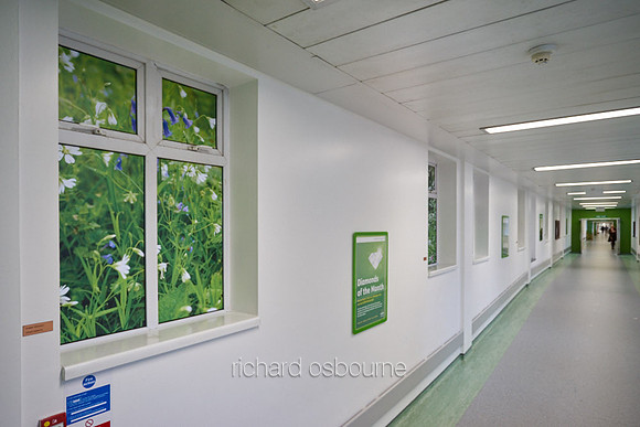 UHSM Wythenshawe Hospital Hybrid Theatres