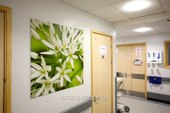 UHSM Wythenshawe Hospital - PhotoPanel, 900 x 900mm