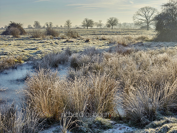 V9N4  NWT New Buckenham Common, Norfolk, UK