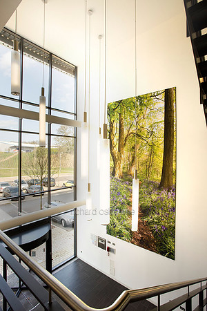 PhotoFab Tension Fabric Wall in Broadland Business Park, Norwich