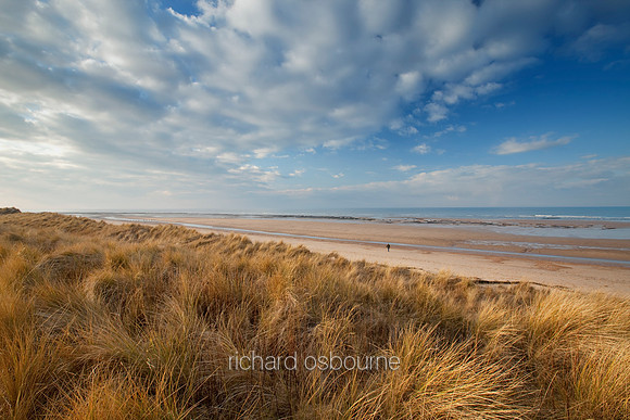 V4N14 Holme Dunes IV
