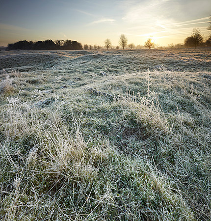 V9N2  NWT New Buckenham Common, Norfolk, UK
