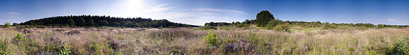 P3L33  NWT Syderstone Common, Norfolk, UK