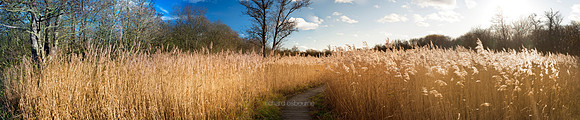 P2L9 Bure Marshes and Cockshoot Broad