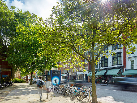 Dove House Green and The Ivy, Chelsea for Property Developer