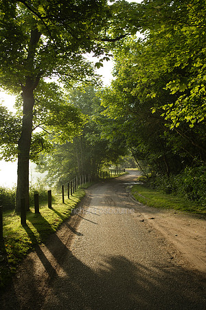 L1N26 Whitlingham Lane, Norwich
