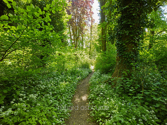 V9F38  Natural Surroundings, Holt, Norfolk