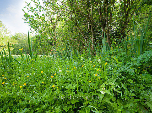 V5W18  Smockmill Common, Norfolk, UK