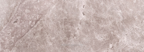 V10BG23 Seashell