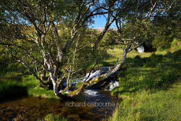V10RS4  Waterfall, Loch Assynt, Scotland, UK
