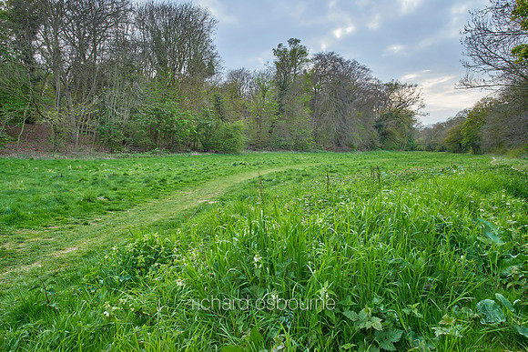 V11N2  NWT Ringstead Downs, Norfolk, UK