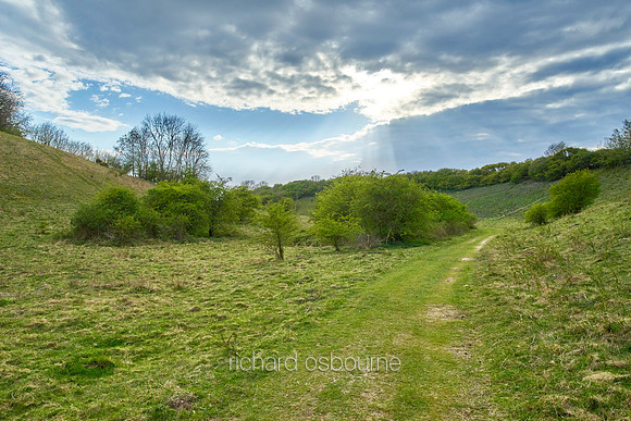 V11N1  NWT Ringstead Downs, Norfolk, UK