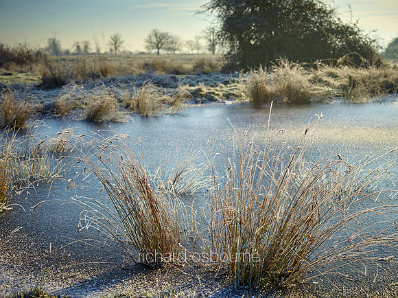 V9N11  NWT New Buckenham Common, Norfolk, UK