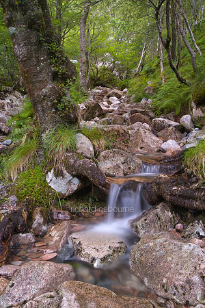 V2S10 Burn, Glen Nevis