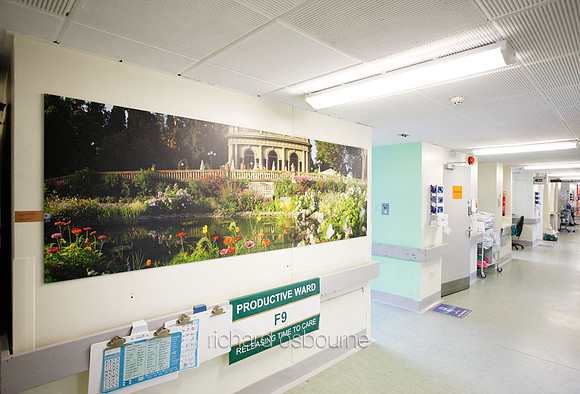 UHSM Wythenshawe Hospital - Panoramic Diptych PhotoPanel, 2700 x 900mm
