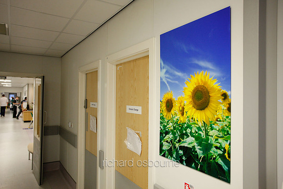 UHSM Wythenshawe Hospital - PhotoPanel, 900 x 1350mm
