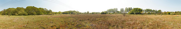 P2L27  NWT Scarning Fen, Norfolk, UK