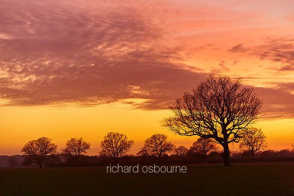 V9N16  Sunset, Fritton, Norfolk, UK