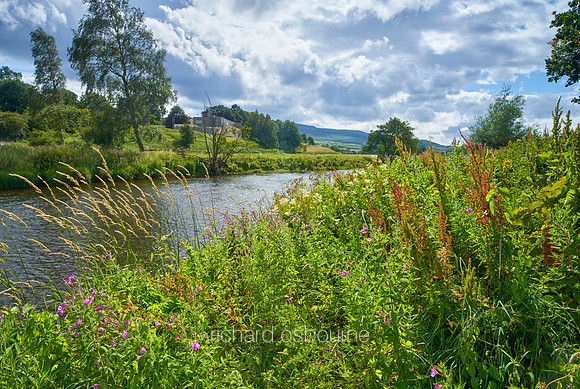 V15L2  River Coquet, Rothbury, Northumberland, UK