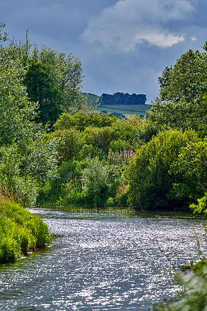 V15L3  River Coquet, Rothbury, Northumberland, UK