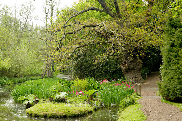 L1G18 Great Oak, Fairhaven Water Garden