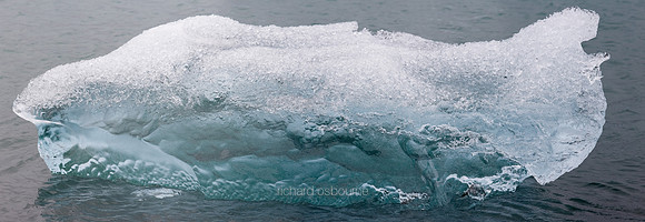 P3W2  Ice Dolphin, Jökulsárlón, Iceland