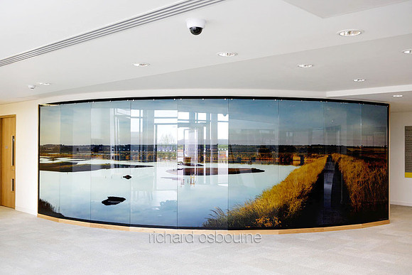 Aviva Willow House