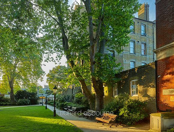Dove House Green and The Ivy, Chelsea for Property Developer