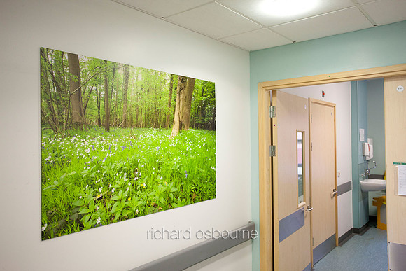 UHSM Wythenshawe Hospital - PhotoPanel, 1350 x 900mm