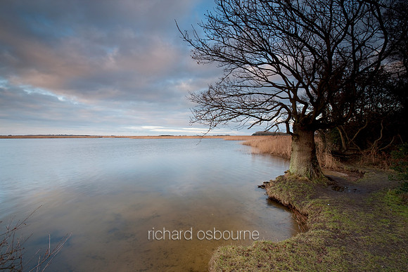 V4N10 Martham Broad II