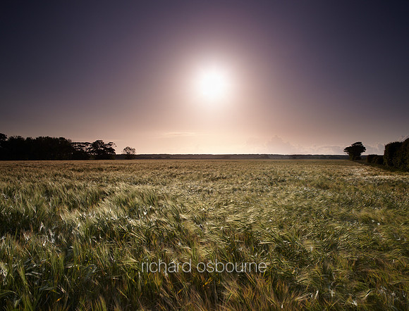 V6N49  East Somerton, Norfolk, UK