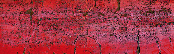 V14T8  Red Hot Chilli