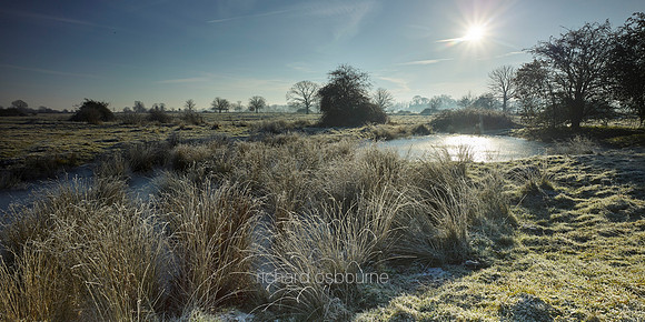 NWT New Buckenham Common, Norfolk, UK