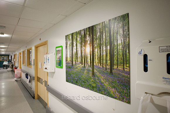 UHSM Wythenshawe Hospital - PhotoPanel, 1350 x 900mm