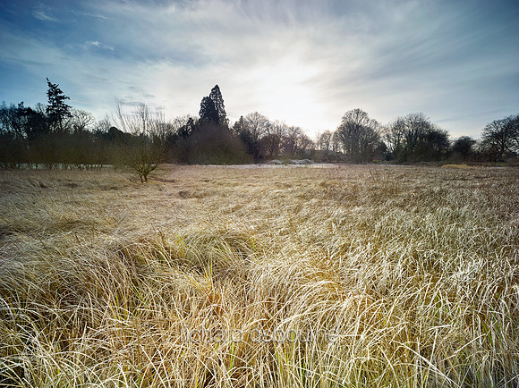 NWT Rush Meadows, Norfolk, UK
