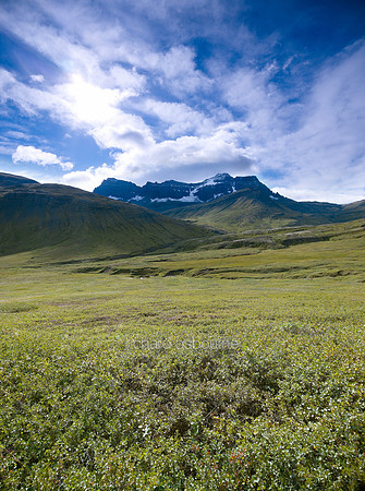 V6L55  Dyrfjöll Mountain, Bakkagerði, Iceland