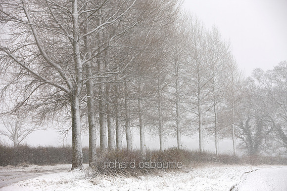 V3L15 Snowstorm