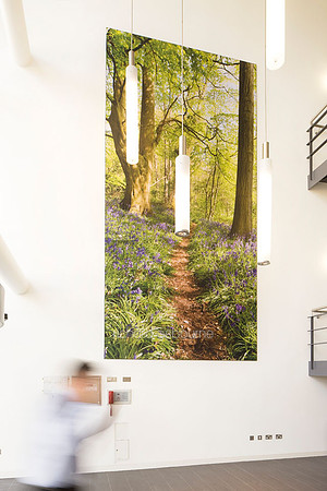 PhotoFab Tension Fabric Wall in Broadland Business Park, Norwich