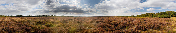 P2L3 Roydon Common