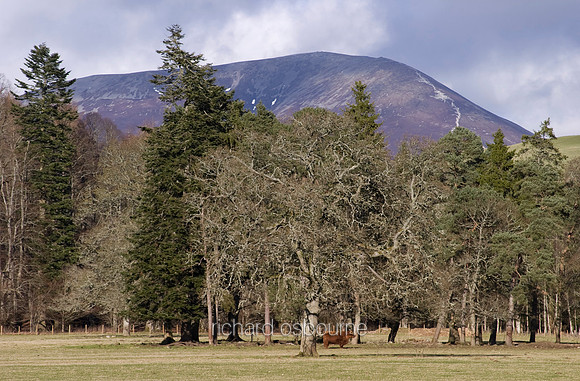 L1S10 Beinn a’ Ghlo