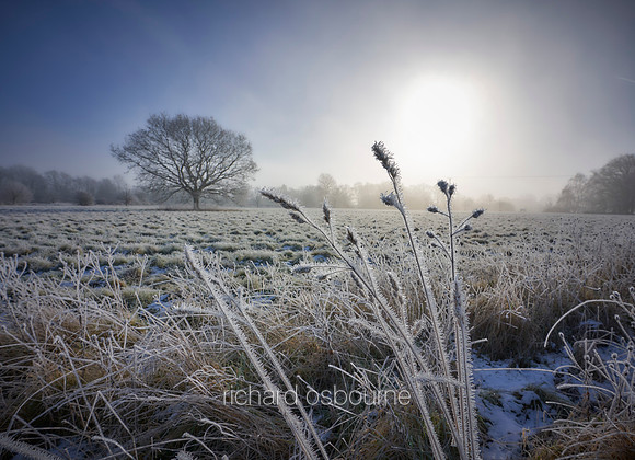 V14D4  Hoar Frost