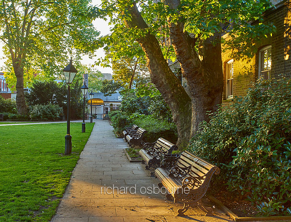 Dove House Green and The Ivy, Chelsea for Property Developer