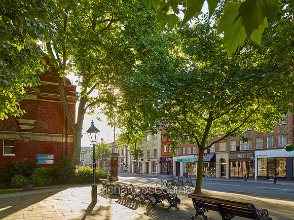 Dove House Green and The Ivy, Chelsea for Property Developer