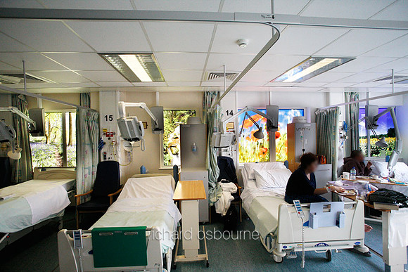 UHSM Wythenshawe Hospital - PhotoWindow - Photographic Window Film, 700 x 1400mm