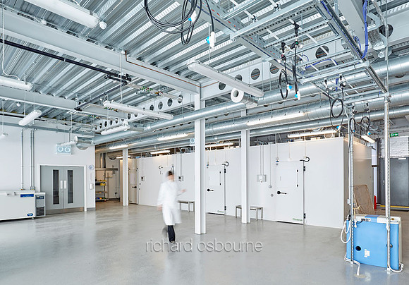 Leaf Systems, Norwich for LSI