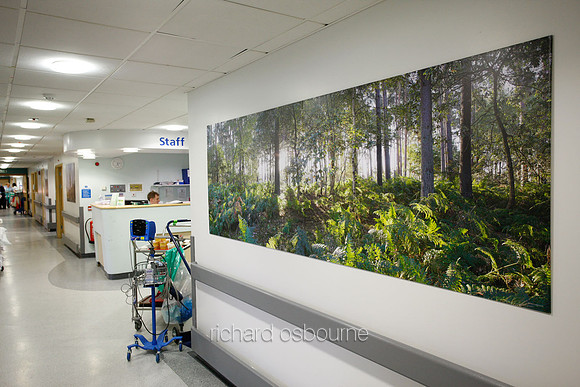 UHSM Wythenshawe Hospital - Panoramic Diptych PhotoPanel, 2700 x 900mm