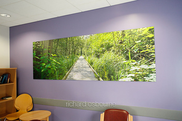 UHSM Wythenshawe Hospital - Panoramic Diptych PhotoPanel, 2700 x 900mm